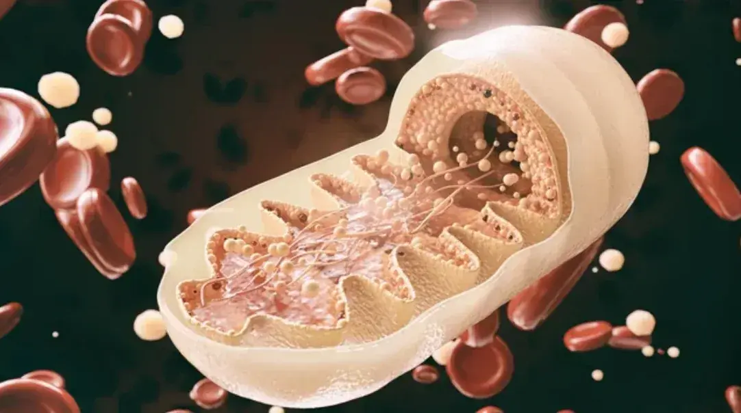 Mitochondria – and the role of repurposed medications