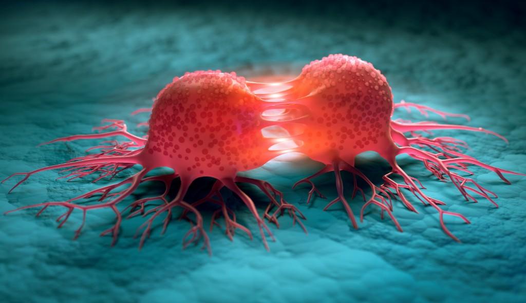 Understanding the root of cancer recurrence